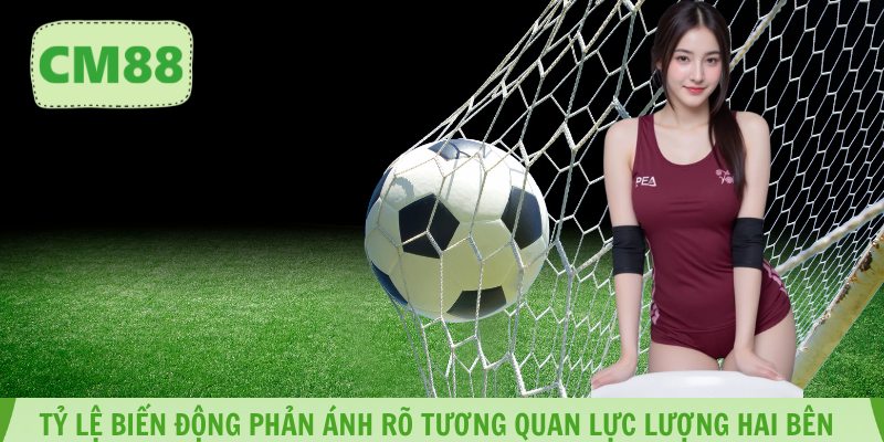 Phân tích dữ liệu theo chu kỳ giúp hình dung xu hướng rõ ràng
